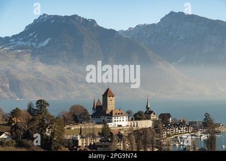 Spiez, Canton Bern, Switzerland, February 13, 2023 Beautiful castle Spiez at the coast of the lake of Thun on a sunny day Stock Photo