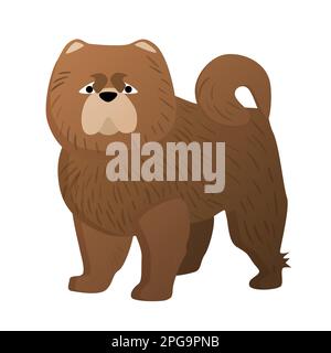 Chow chow dog. Doggie domestic breed, familiar loyal pet, puppy friend vector cartoon illustration Stock Vector