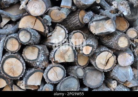In a pile of pieces of wood cut into firewood for heating Stock Photo