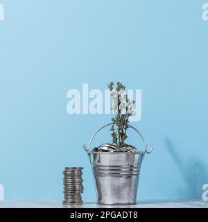 Coins in a small bucket and a plant, income growth concept Stock Photo