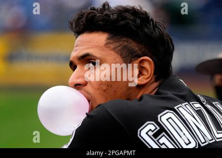 This is a 2023 photo of Romy Gonzalez of the Chicago White Sox baseball  team. This image reflects the Chicago White Sox active roster as of  Wednesday, Feb. 23, 2023, when this