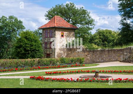 Pictures from the Blankenburg Harz Castle Park Stock Photo