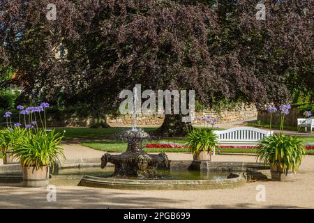 Pictures from the Blankenburg Harz Castle Park Stock Photo