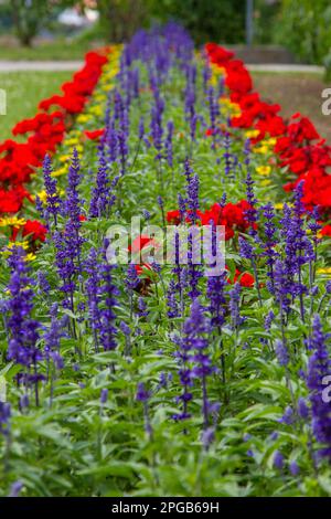 Pictures from the Blankenburg Harz Castle Park Stock Photo