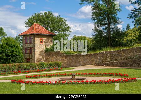 Pictures from the Blankenburg Harz Castle Park Stock Photo