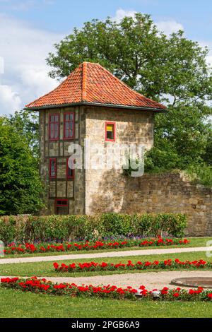 Pictures from the Blankenburg Harz Castle Park Stock Photo