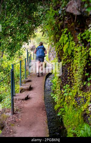 Hiker on Levada do Moinho, Ponta do Sol, Madeira, Portugal Stock Photo