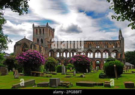 Jedburgh Abbey, ruins of the cathedral of Jedburgh, Scottish Boders, Scotland, United Kingdom Stock Photo