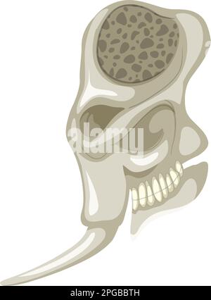 The elephant skeleton on white background illustration Stock Vector