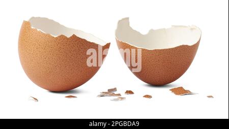 brown egg shell broken or crack with pieces scattered on the surface, isolated on white background, cut out Stock Photo