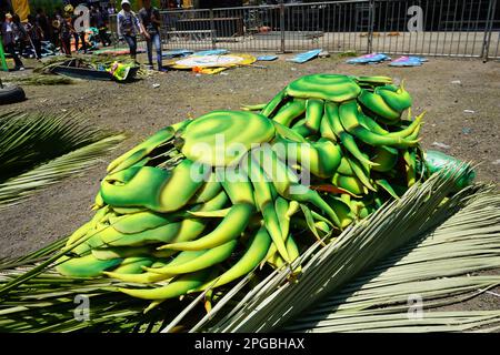 Rio jinsiy aloqa karnavallari
