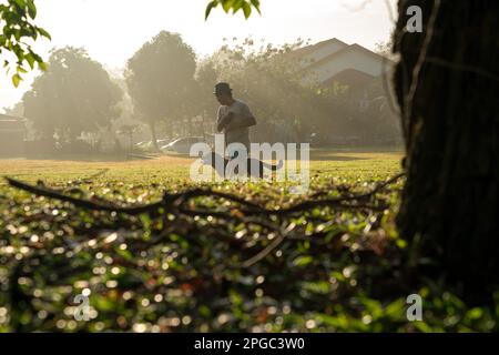 Man running with his pet dog in the field. Healthy lifestyle or summertime concept. Stock Photo