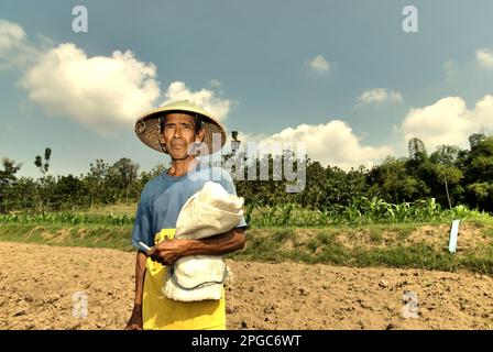 Portrait of farmer in a background of a dry land and a corn field in Kradenan district, Blora regency, Central Java province, Indonesia. Climate change will increasingly expose outdoor workers to heat stress and reducing labour capacity, according to the 2023 report published by the Intergovernmental Panel on Climate Change (IPCC), entitled 'Climate Change 2022: Impacts, Adaptation and Vulnerability'. The report suggests that climate change adaptation options are needed to protect agricultural worker productivity outdoors and reduce occupational heat illnesses and deaths. Stock Photo