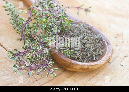 freh and dried thyme on wooden background Stock Photo