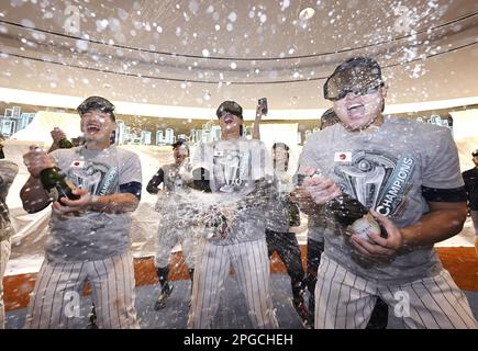 Shohei Ohtani 2023 World Baseball Classic MVP Japan National Team 8x10  Photo