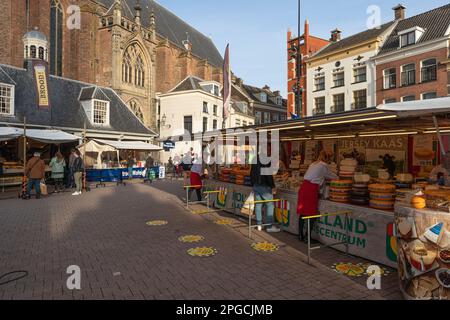 Market 'De hof' in the center of the historic medieval city of