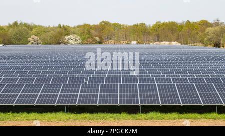 Large field with solar panels on the ground for alternative energy. Stock Photo