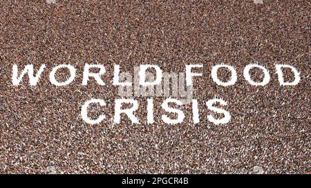 Concept conceptual large community of people forming the WORLD FOOD CRISIS message.  3d illustration metaphor for  shortage, drought,  recession Stock Photo