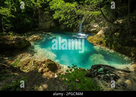 Small waterfall flowing into blue lake surrounded by rocks and green trees growing in forest on sunny day Stock Photo