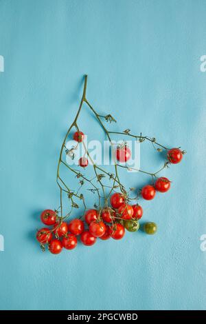 Top view of bunch of fresh ripe and unripen cherry tomatoes placed on blue background Stock Photo