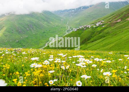 Cicekli Plateau in Camlihemsin district of Rize province. Kackar Mountains region. Rize, Turkey. (Turkish: Cicekli Yaylasi) Stock Photo