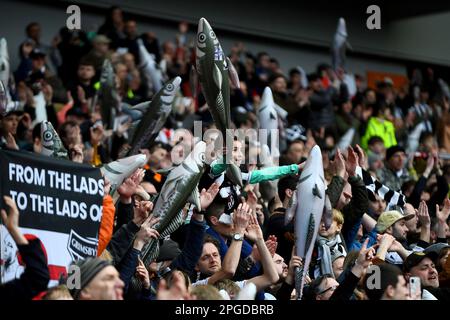 Grimsby Town fans are seen with Harry the Haddock inflatables - Brighton & Hove Albion v Grimsby Town, The Emirates FA Cup Quarter Final, Amex Stadium, Brighton, UK - 19th March 2023  Editorial Use Only - DataCo restrictions apply Stock Photo