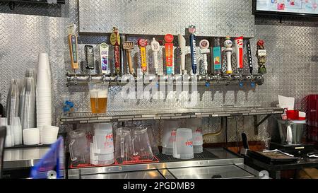 Savannah, GA USA - February 26, 2023: Draft Beer tappers at Coaches