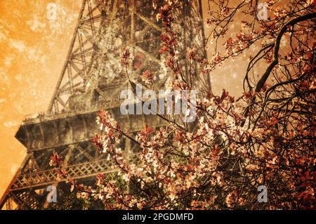 Spring in Paris. Blossoming cherry tree and Eiffel tower at background.  Selective focus on the tree. Retro aged photo with scratches. Sepia. Stock Photo