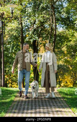 Side view of overjoyed couple walking near labrador on walkway in park,stock image Stock Photo