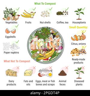 Infographic of composting bin with kitchen scraps. What to or not to compost. No food wasted. Recycling organic waste, compost. Sustainable living, ze Stock Vector