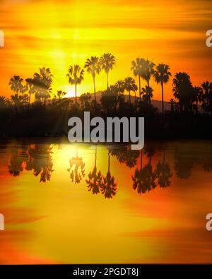 Reflection of silhouetted palm trees in a lake at sunset, Palm Springs, Riverside County, California, USA Stock Photo
