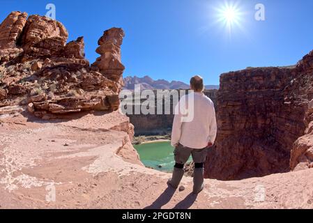 Rear view of a hiker looking at view, East Johnson Creek, Colorado river, Marble Canyon, Arizona, USA Stock Photo