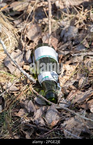 photo of a glass empty bottle lying on the ground in the woods Stock Photo