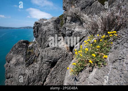 costa cilentana, centola, camerota, salerno, campania, italia, Stock Photo