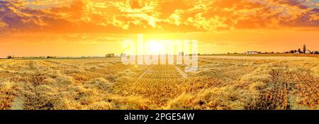 Farmining fields in sunset, Germany Stock Photo