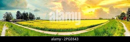 Farmining fields in sunset, Germany Stock Photo