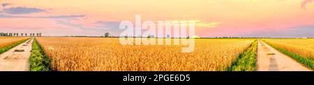 Farmining fields in sunset, Germany Stock Photo