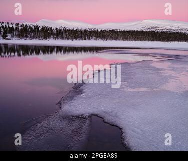 A tranquil winter scene reflecting in Grövelsjön lake, surrounded by snow-capped land and a pink sunrise sky. Stock Photo