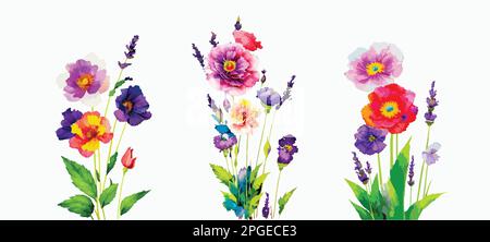 Field bouquet set with poppy and lavender flowers, beauty invitation, card floral elements Stock Vector