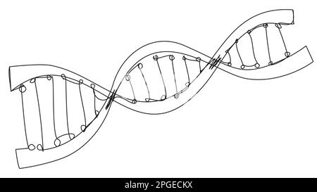 DNA spiral in one line doodle style isolated on white background. Stock Vector