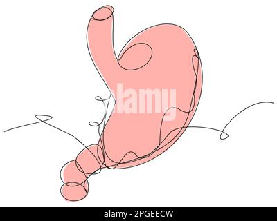 Human stomach in one line with a beige silhouette Stock Vector