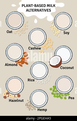 Template of glasses with plant-based milk. Vegan milk in glass. Top view. Almond, soy, rice, cashew, oat, pea, coconut, hemp, hazelnut milk. Milk alte Stock Vector