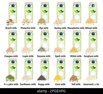 Set of carton boxes with plant-based milk. Vegan milk. Pistachio, pumpkin and sunflower seeds, amaranth, corn, macadamia, sesame milk. Milk alternativ Stock Vector