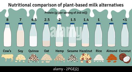 Set of bottles with plant-based milk. Vegan milk protein infographic. Almond, soy, rice, coconut, hazelnut, oat, sesame, hemp, quinoa milk. Milk alter Stock Vector