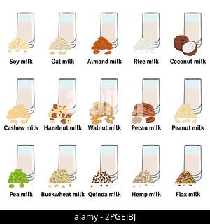 Set of glasses with plant-based milk. Vegan milk in glass. Almond, soy, rice, coconut, cashew, hazelnut, oat, flax, walnut, hemp, pea milk. Milk alter Stock Vector