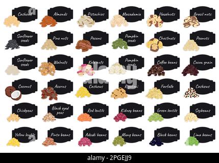 Set of stickers and labels of nuts, beans and legumes. Chickpea, mung, soy, lentils, pumpkin and sunflower seeds, pistachio, cashew, almond, hazelnuts Stock Vector