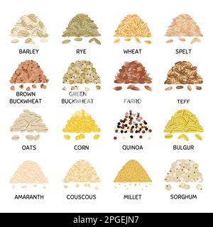 Set of hand drawn vector handful of grains and cereals. Barley, wheat, buckwheat, oats, corn, quinoa, millet, bulgur. Organic healthy food. Vegan and Stock Vector