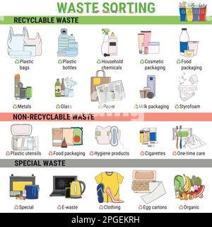 Waste infographic. Sorting garbage, segregation and recycling infographics. Recycle trash bins and different types of rubbish. Garbage pollution. Wast Stock Vector