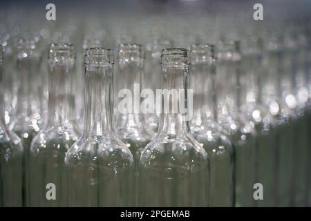 Rows of empty glass bottles Stock Photo