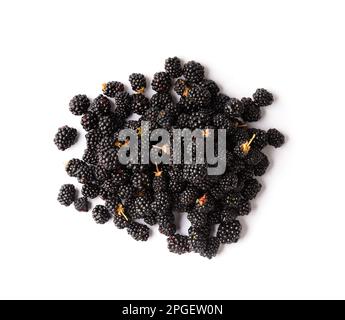 A bunch of blackberries on a white background. Useful blackberry product isolated. Stock Photo
